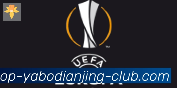 亚博电竞合作伙伴